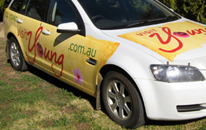 Visit Young Feel Young Advertising